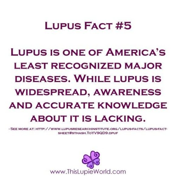 Meet your Posher, Shay - Picture 7 of 14